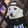 notliari.yosef