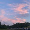 leland.woodard