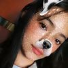 shark_132435