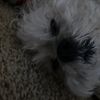 jacob_2nd8765