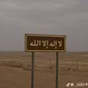 ibnujaff