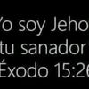 user22815393104
