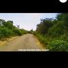 sumedi233