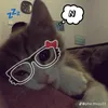 fox.nad.king3