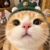 gatau.nama98
