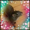user31059493278835