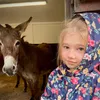 Lockwood Donkey Sanctuary