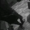 vanhuyy11