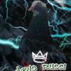 deworucci0