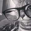 anya_57899