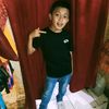 asni8284