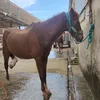 micheleee81