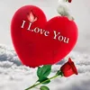 amir.fazli5