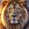user8106963006601