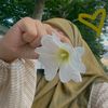 .dounia10