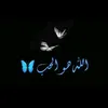 mg._1y
