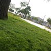 user4938200368505