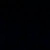 bobr_bruclin