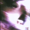 zubruwka003