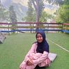 apipanahdarapanda04
