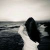 strawberries_141