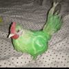 tiago_freire336