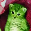 alien82828284
