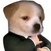 vct.tiktok.com