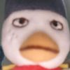 meriuxmoim7