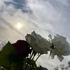 kcha_blbas21