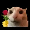isaacquazzogo1