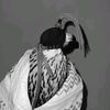 مكابر⚑.