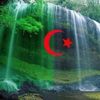 user11033584817054