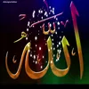 mshahzad3800