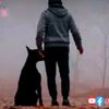 user8502031300719