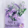 raquel.bediskelit
