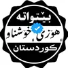 FARMANDA_ANAS_XOSHNAW22