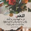user5306669167583