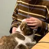 rcusn