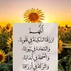 nermin1488