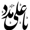 nadeemshah2431