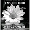 luana.kalin.21