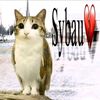 phyo.khant.aung884