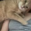 peachy3609