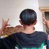 aditmaulana9461