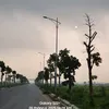 nguyen.van.manh.imyze