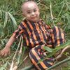 zinnurain05