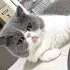 user1204144992710