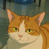 hellow.meaow