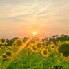 _rs_rudro_069